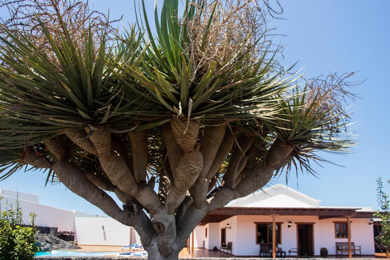 Вилла Casa Lola Lanzarote Piscina Climatizada Y Wifi Free Сан-Бартоломе Экстерьер фото